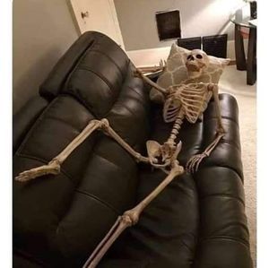 Meet your Posher, Jairo